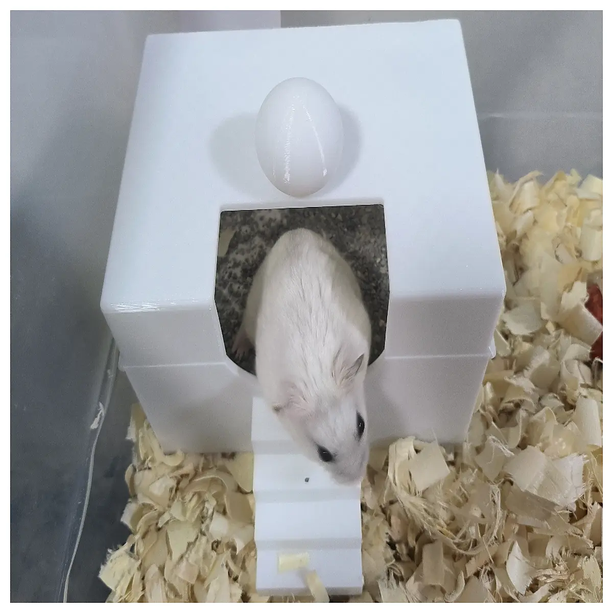 hamster toilet with lid enclosed litter box for small pets cute hamster bathroom accessories hygienic waste disposal cage accessory