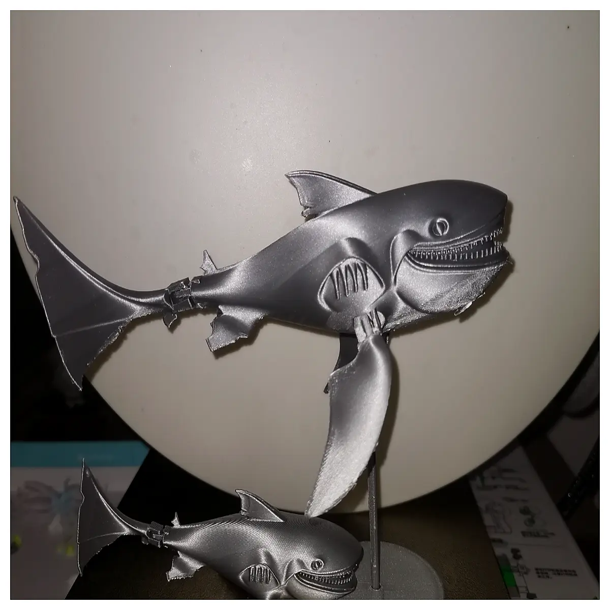 shark print low poly ocean creature game