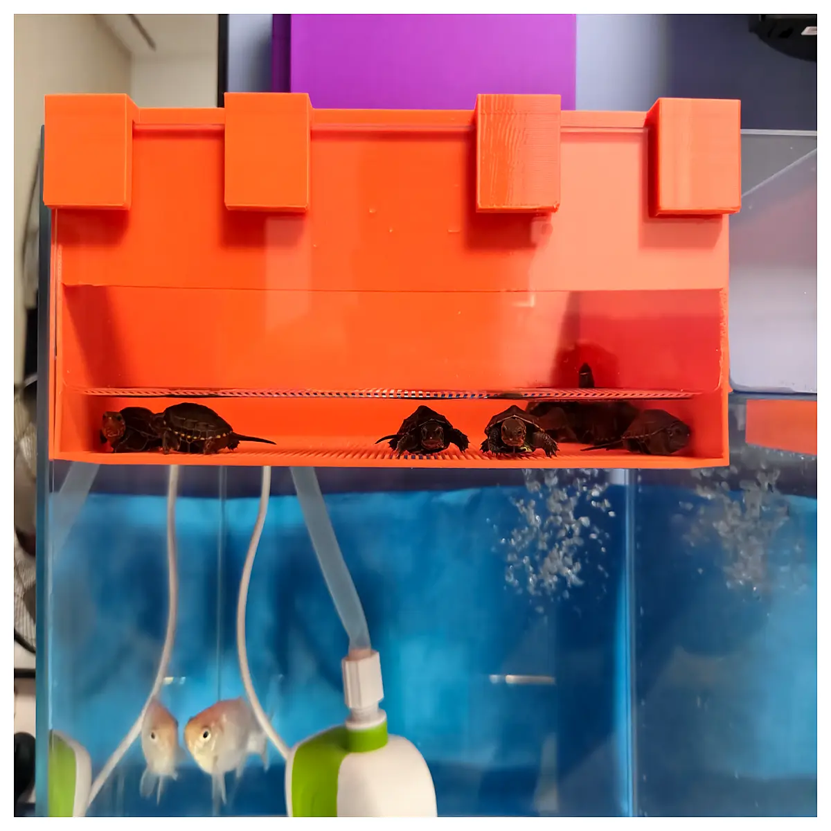aquarium fish breeding box floating isolation cage for sick or new pets