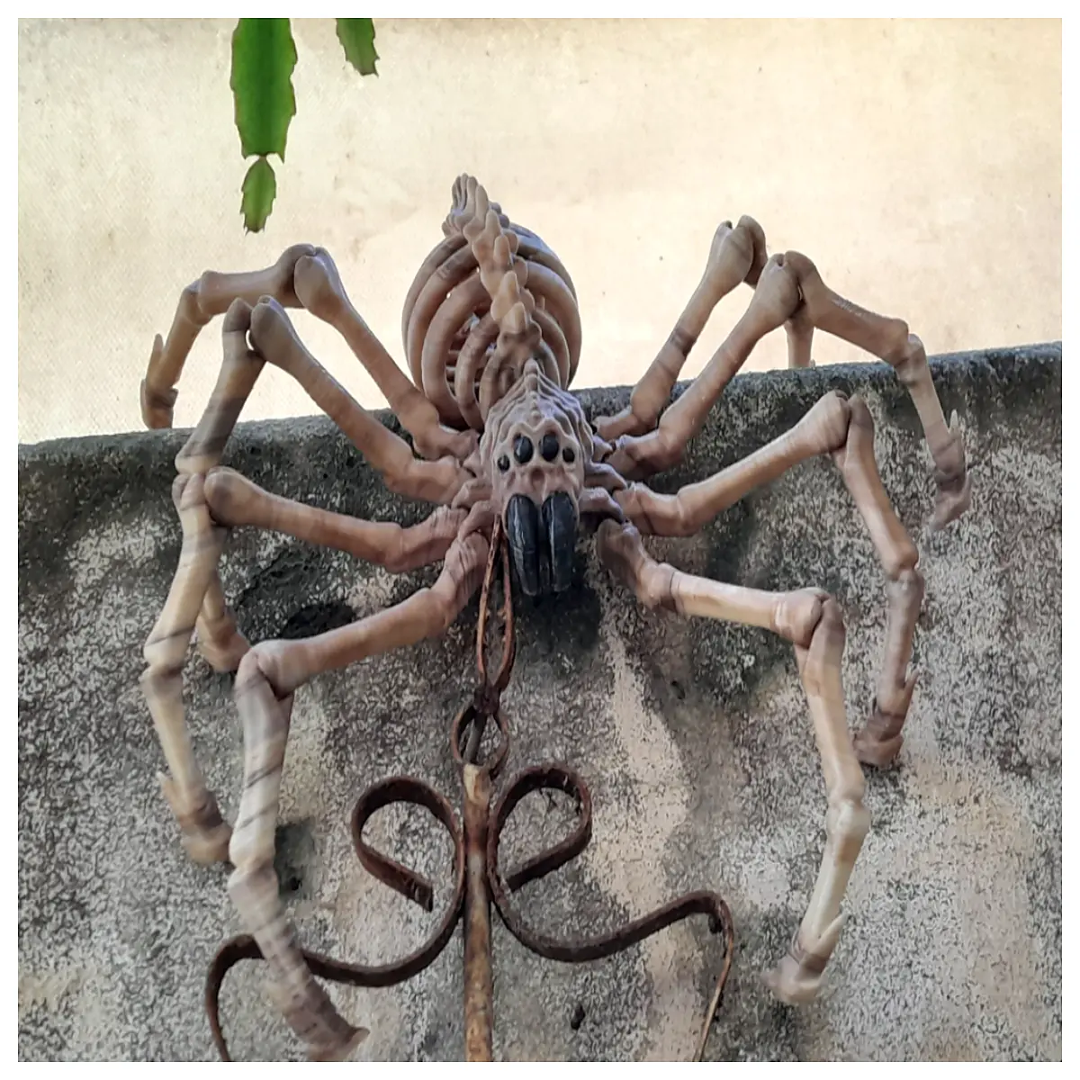 plastic skeleton spider toy articulated joints for kids party favors halloween decoration spooky prop