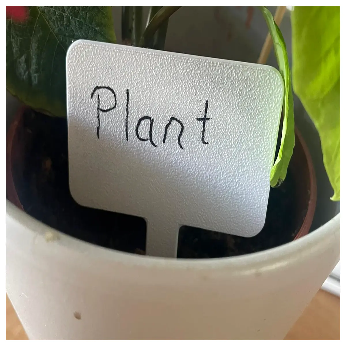 waterproof plant markers for garden reusable plastic stakes with clips vegetable herb identifier tags outdoor