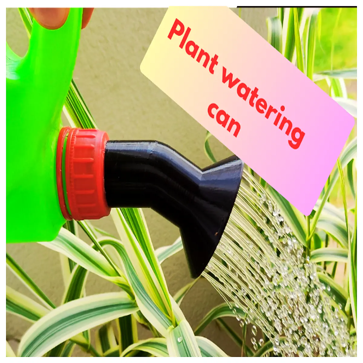 diy plant mister bottle with wide mouth neck for shower head attachment refill