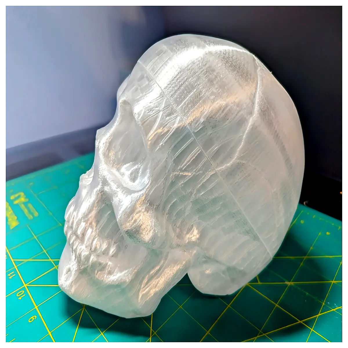 anatomical skull with removable sections for medical education and biology classroom teaching aids