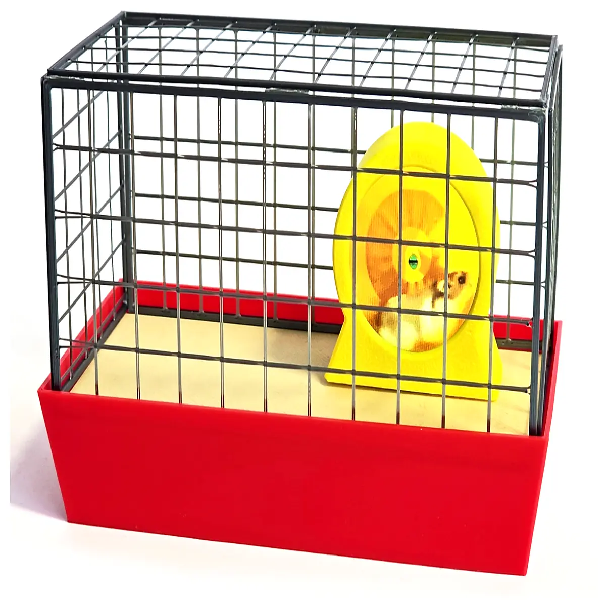 hamster wheel with easy setup quick assembly small animal exercise toy