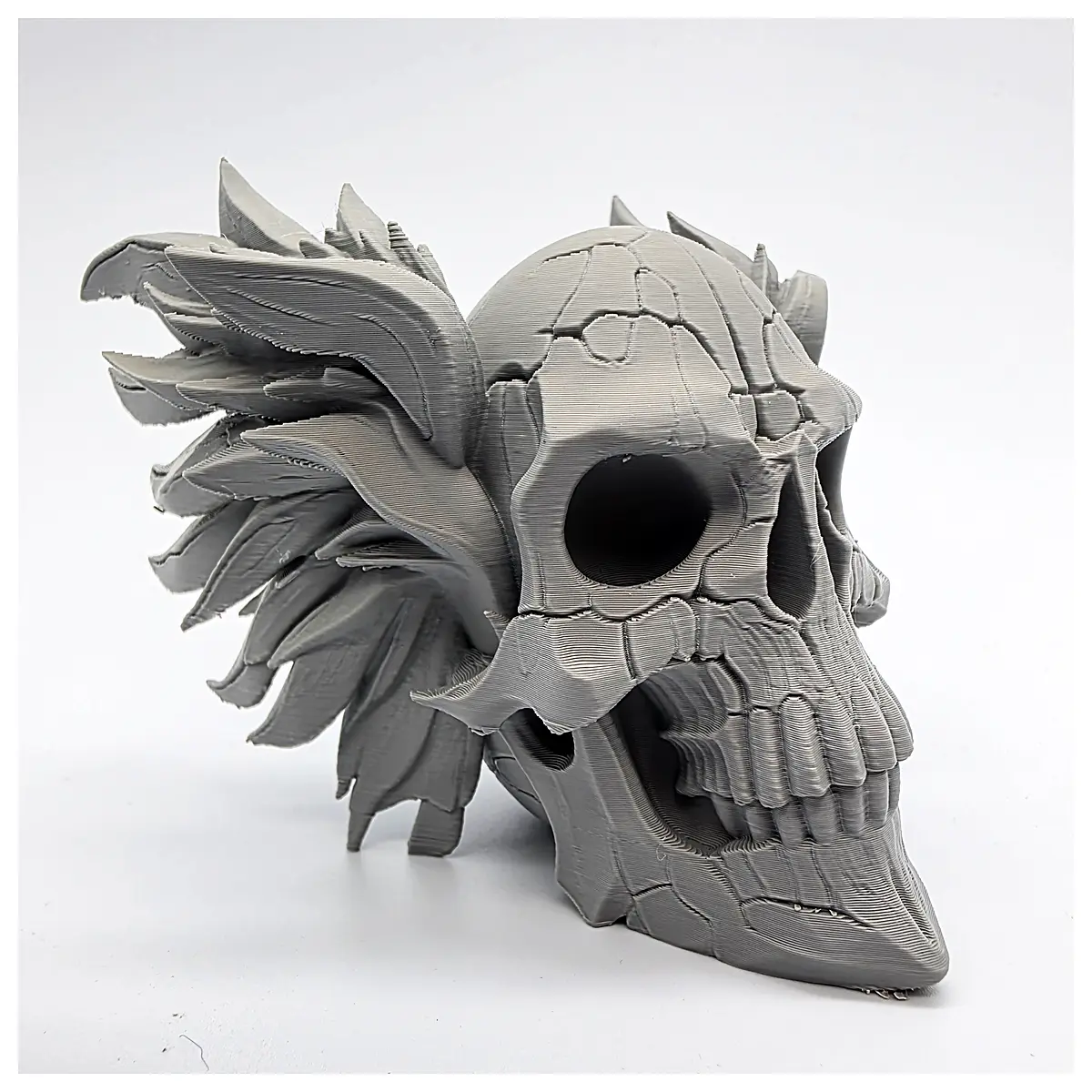 cracked wing skull prop gothic horror decoration haunted house wall art dark fantasy cosplay accessory vintage macabre piece