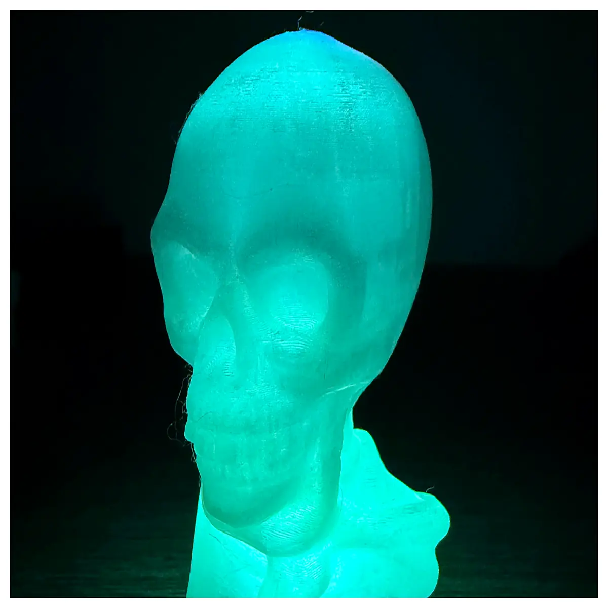 glow in the dark skeleton prop halloween party decoration spooky hanging bones