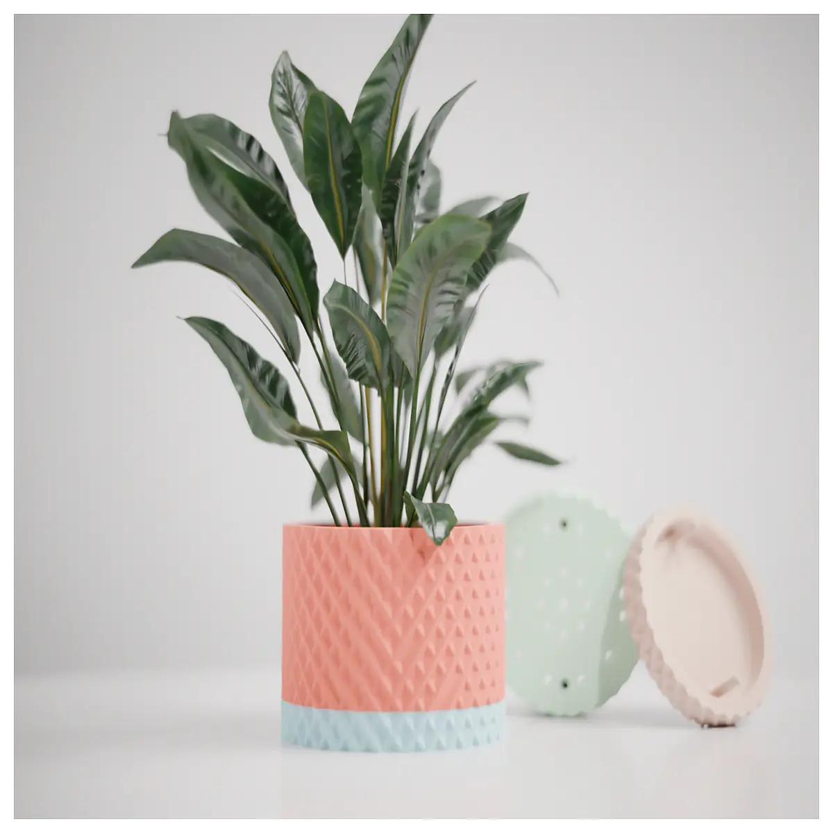 minimalist plant pot with drip tray self watering modern planter for home office succulent cactus indoor garden decor