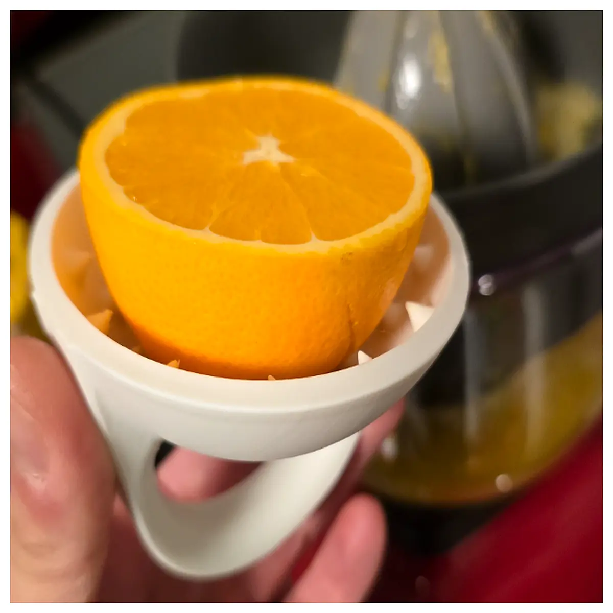 citrus fruit juicer holder organizer for lemon orange grapefruit kitchen counter squeezer accessory