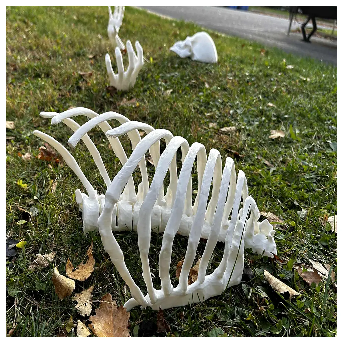 spooky hollow ribcage prop for haunted house decor plastic skeleton chest piece for halloween party centerpieces