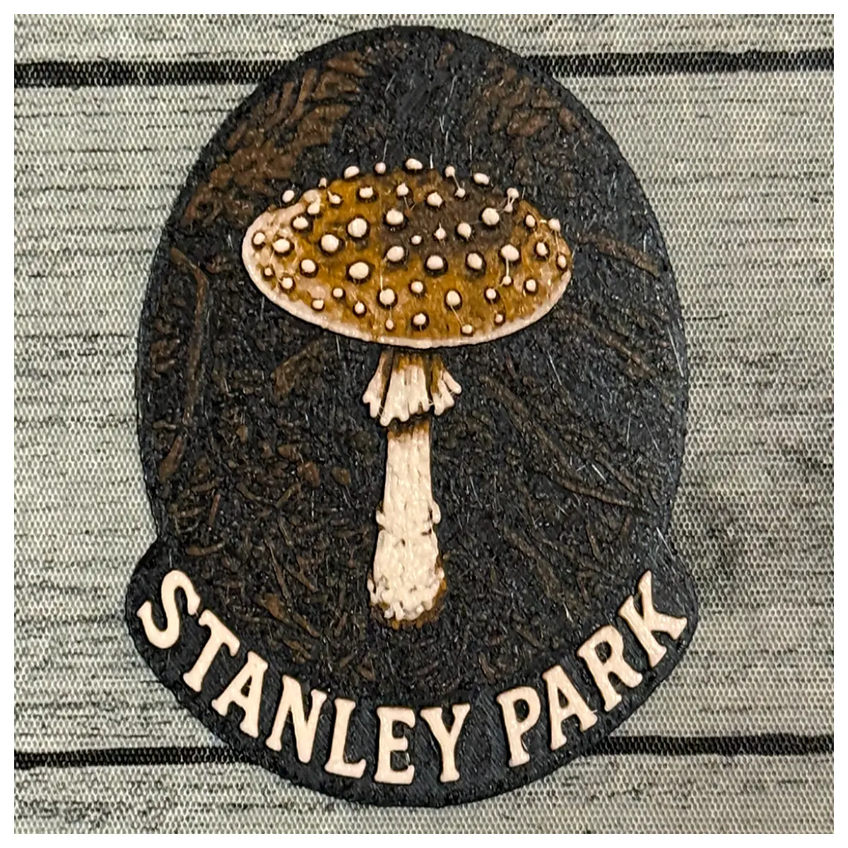 park vancouver souvenir fridge magnet travel keepsake friends family