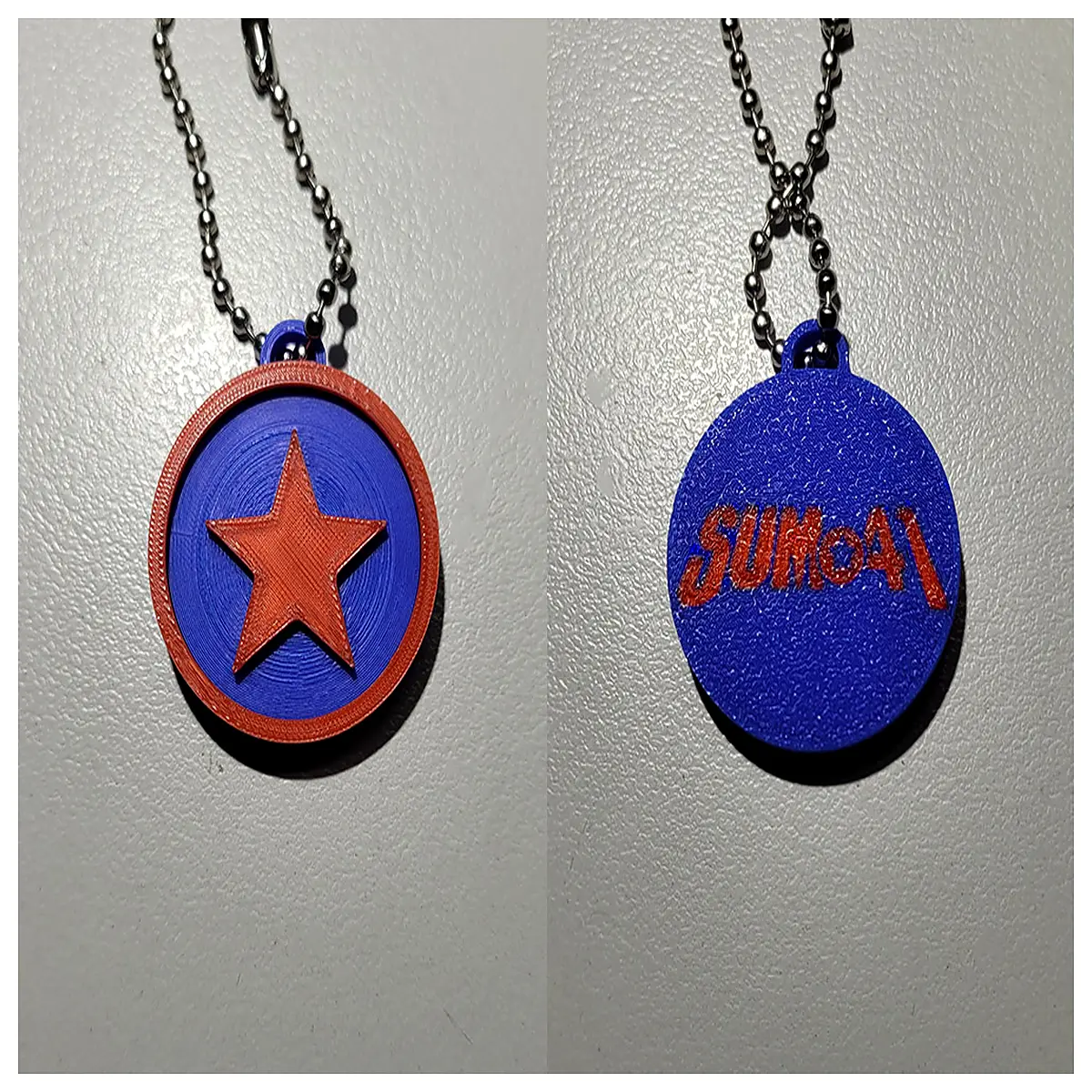 sum 41 keychain metal double sided charm band merchandise fans