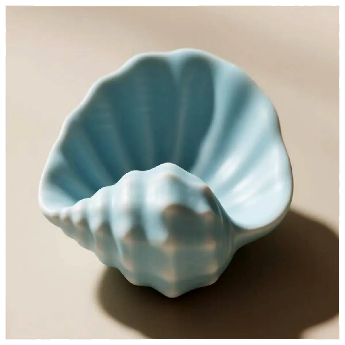 seashell bowl entryway organizer tray for keys jewelry mail beach decor storage
