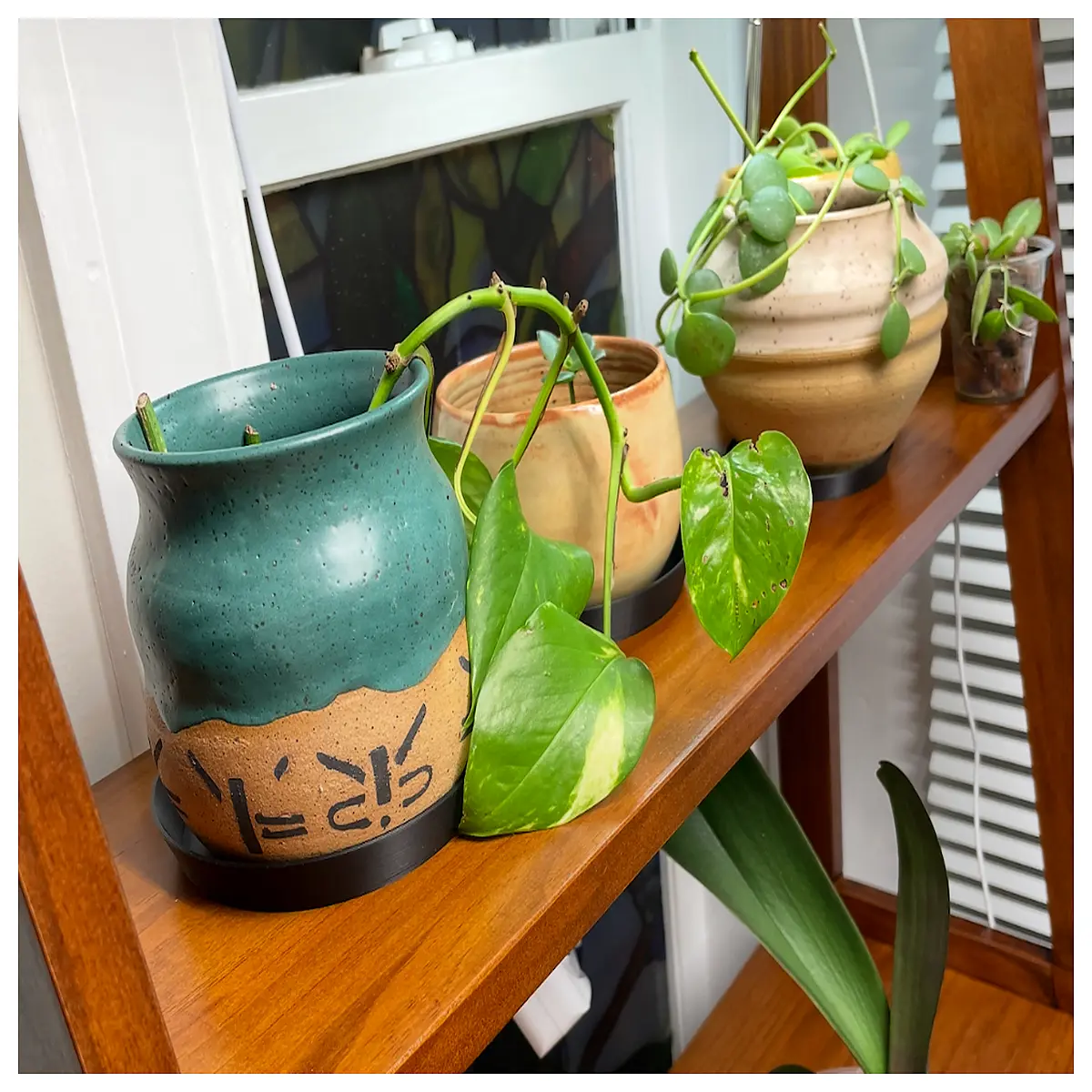 plant saucer drip tray catch pot bottom water collector for indoor plants ceramic plastic round square drainage base