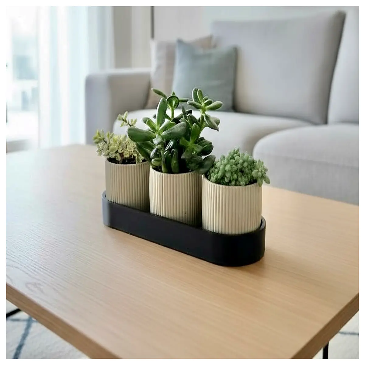 modern ceramic planter with drainage tray for indoor succulents cactus pots minimalist home decor