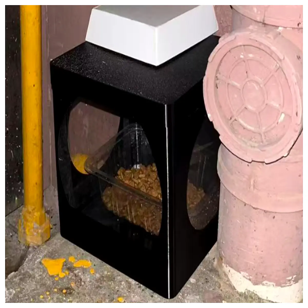 outdoor waterproof stray cat food dispenser station weatherproof shelter for feral cats rain feeding box