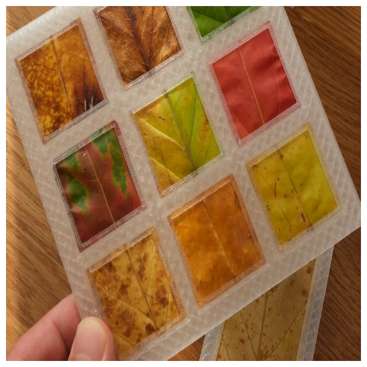 autumn leaves shadow box frame with 33 grid compartments and wooden base for dried flower