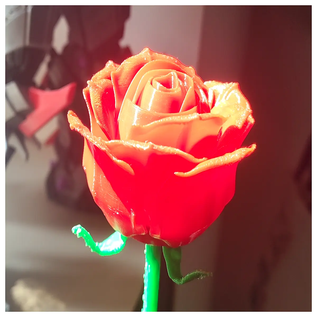 fresh red roses bouquet for valentines day anniversary gift long stem garden flowers
