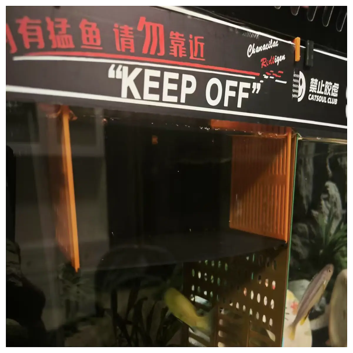 fish tank divider box 150x100mm clip on 4mm glass breeding isolation separator for fry and sick fish