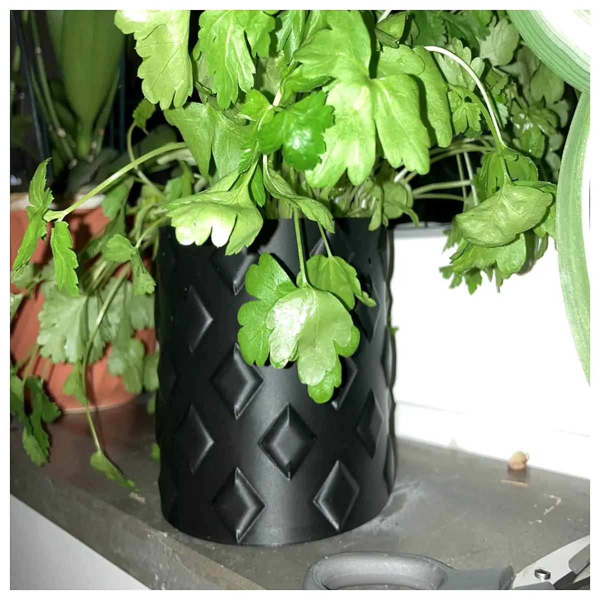 modern ceramic flower pots for indoor plants large succulent containers with drainage holes decorative planters for home garden decor
