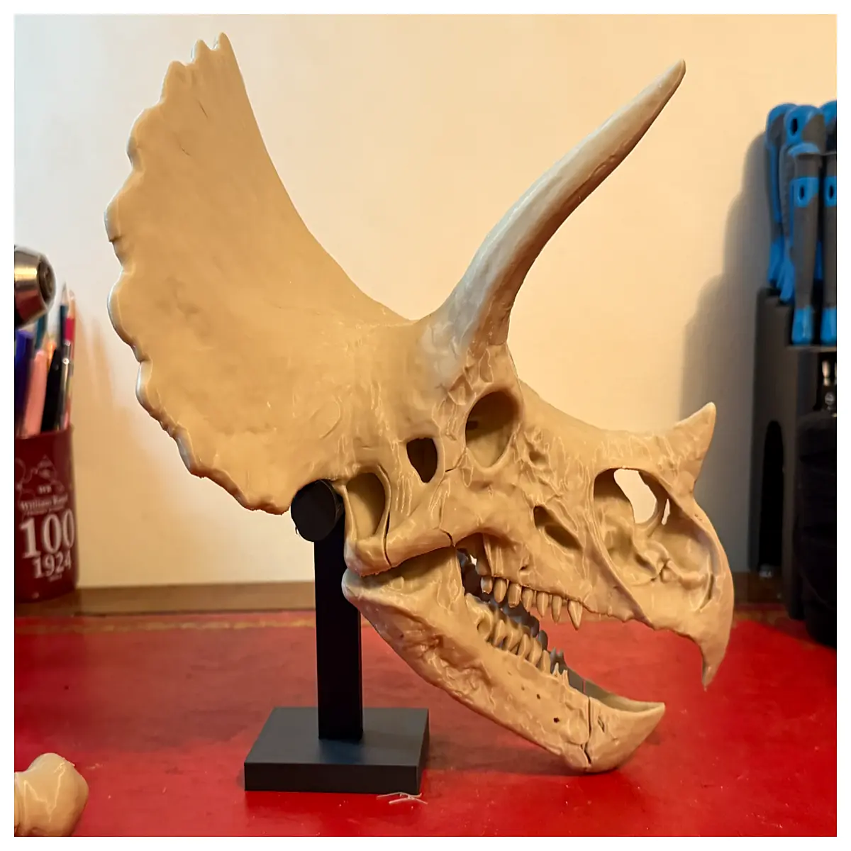 triangular skull press fit mount for dinosaur fossils museum exhibit props