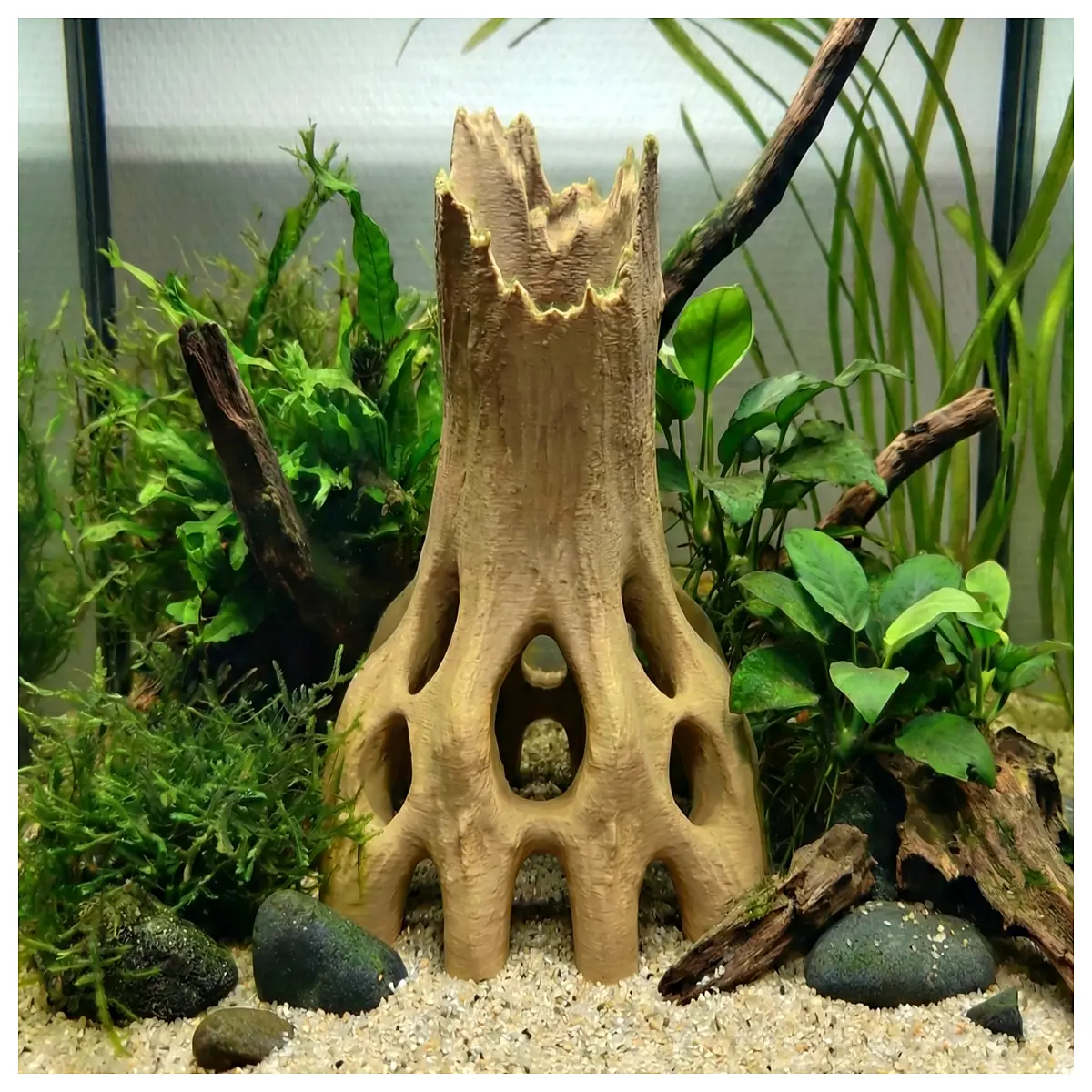 terrarium vivarium for reptiles amphibians with cork bark hideout tree branch climbing structure vertical habitat setup
