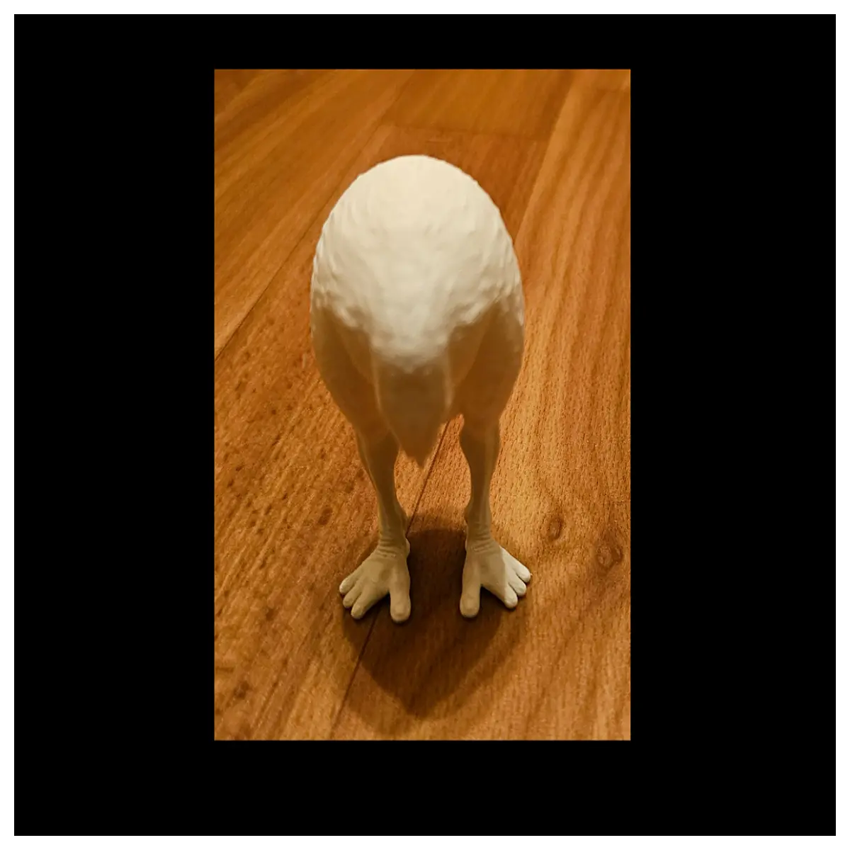 weird novelty items for adults strange gadgets to buy online bizarre gifts for friends who have everything oddities shop