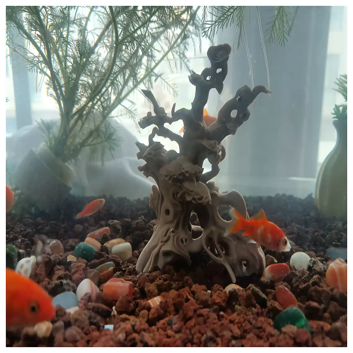 handcrafted wooden fish cave ornament for aquariums natural driftwood shelter hideout for betta and goldfish decorative aquatic decor