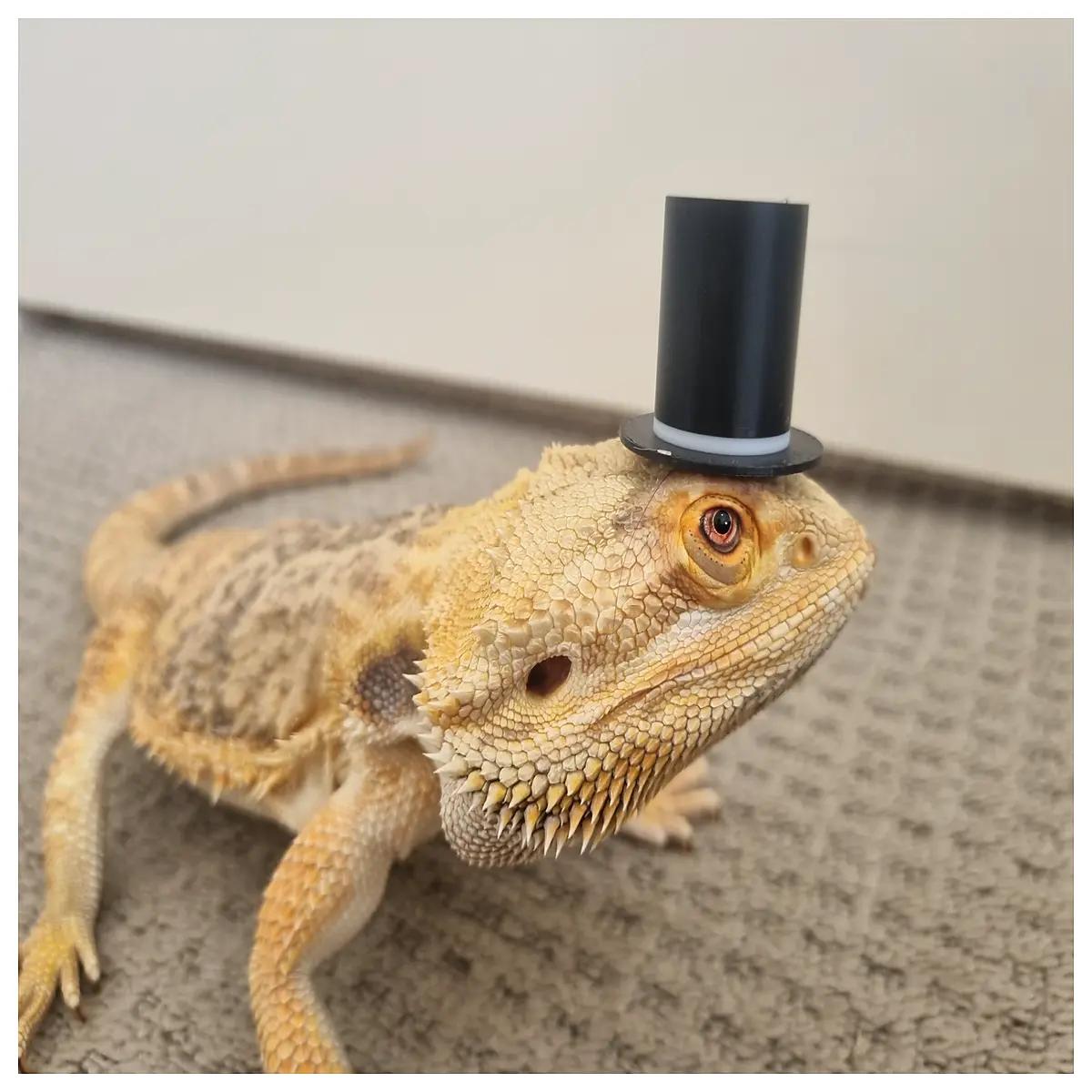 lizard hat novelty funny animal cap for kids party favors costume accessories