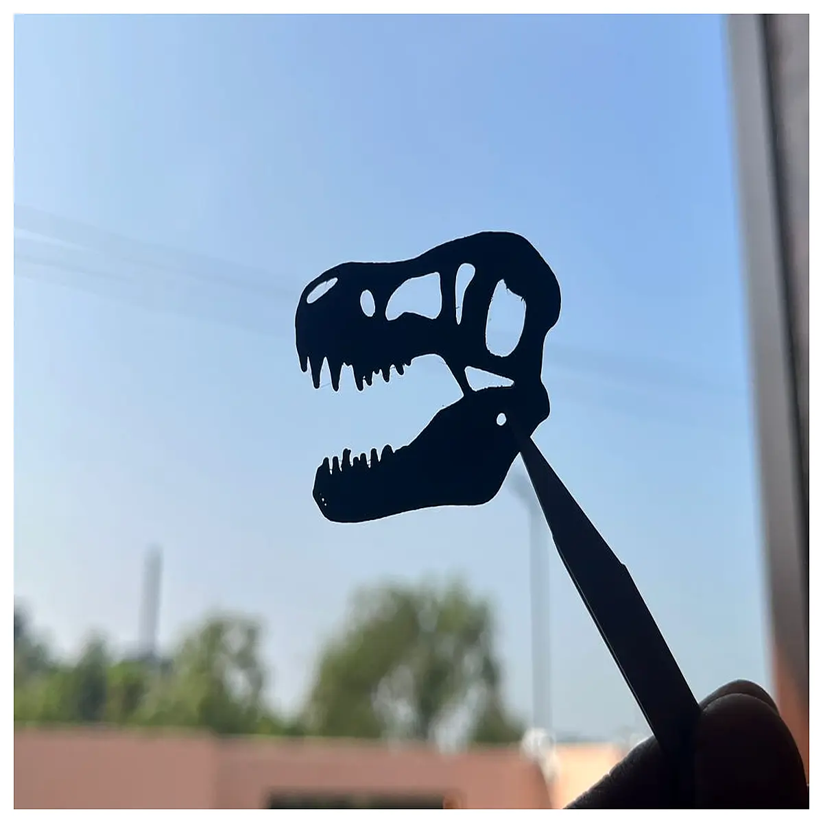 dinosaur skull wall art decor for boy s room nursery kids bedroom cave theme home decoration