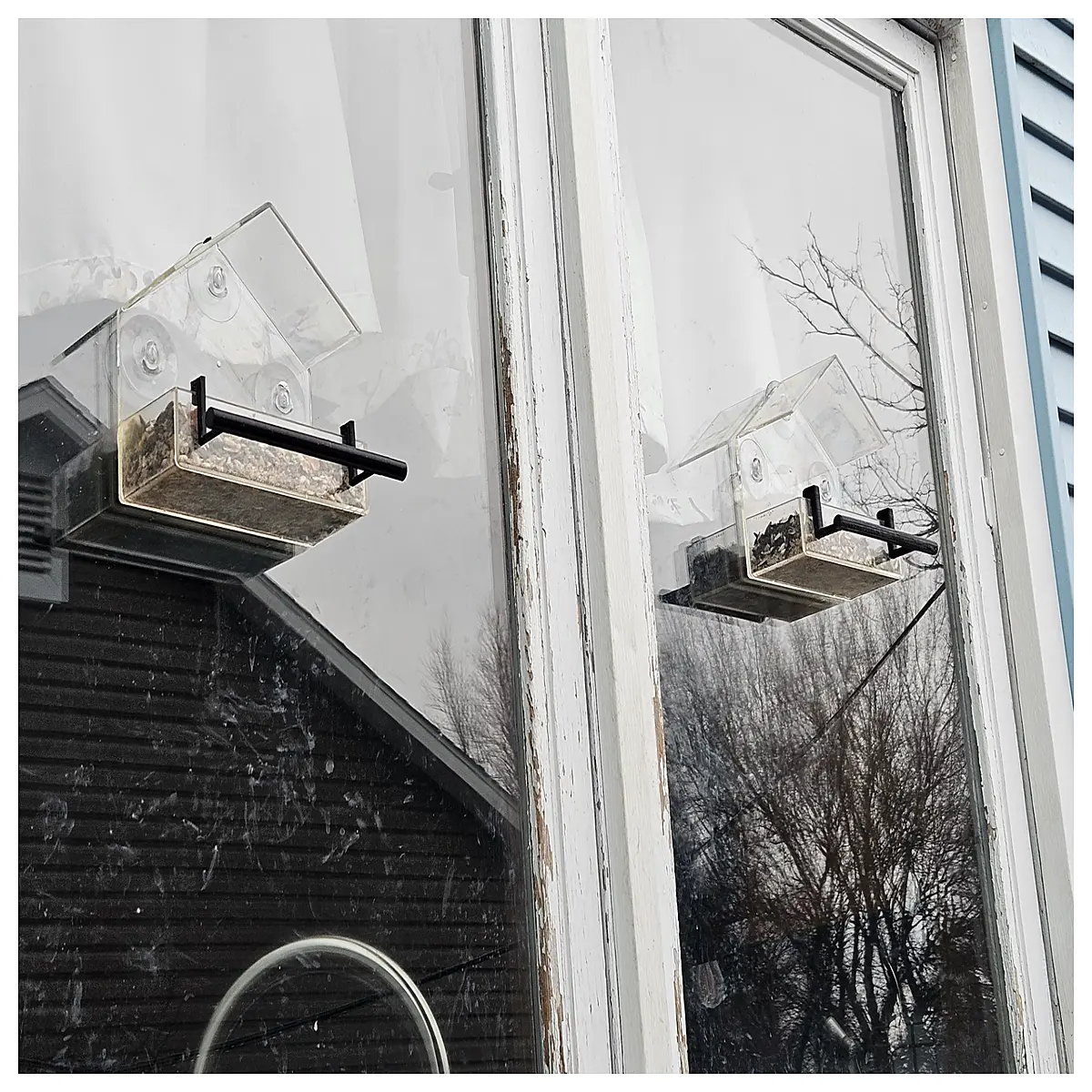 window mounted bird feeder with perch for watching backyard birds