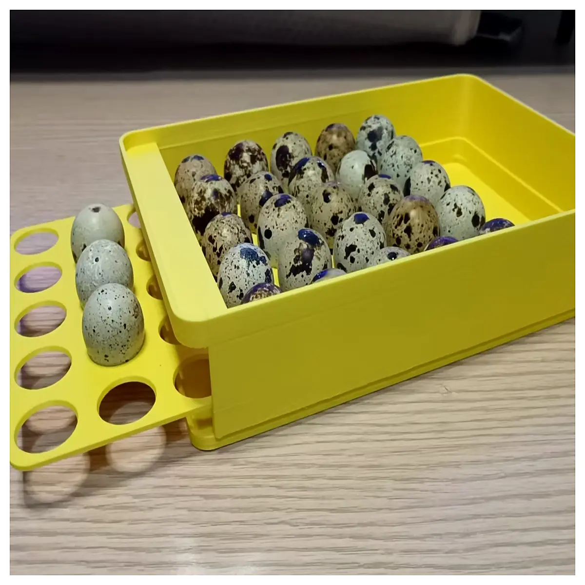 stackable egg storage container fridge organizer for quail eggs bento lunch box with lid
