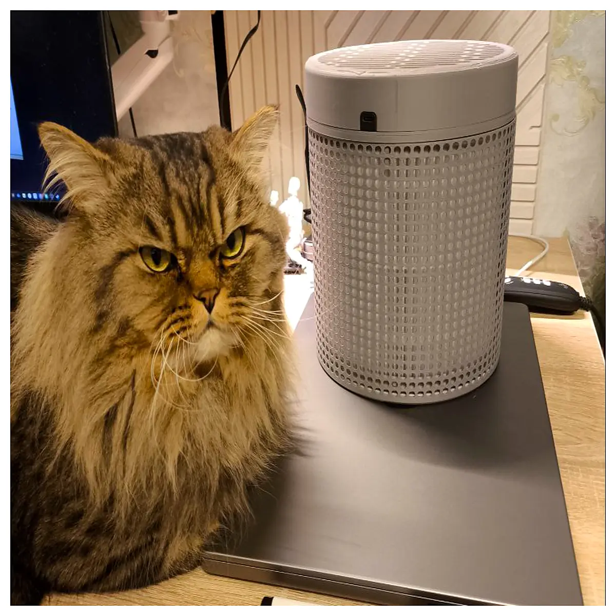 desktop air purifier for desk small hepa filter office pet dander quiet usb powered