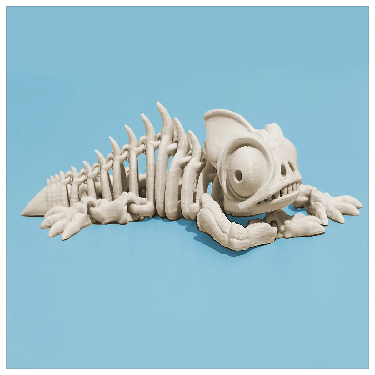 articulated skeleton chameleon for kids educational science toy
