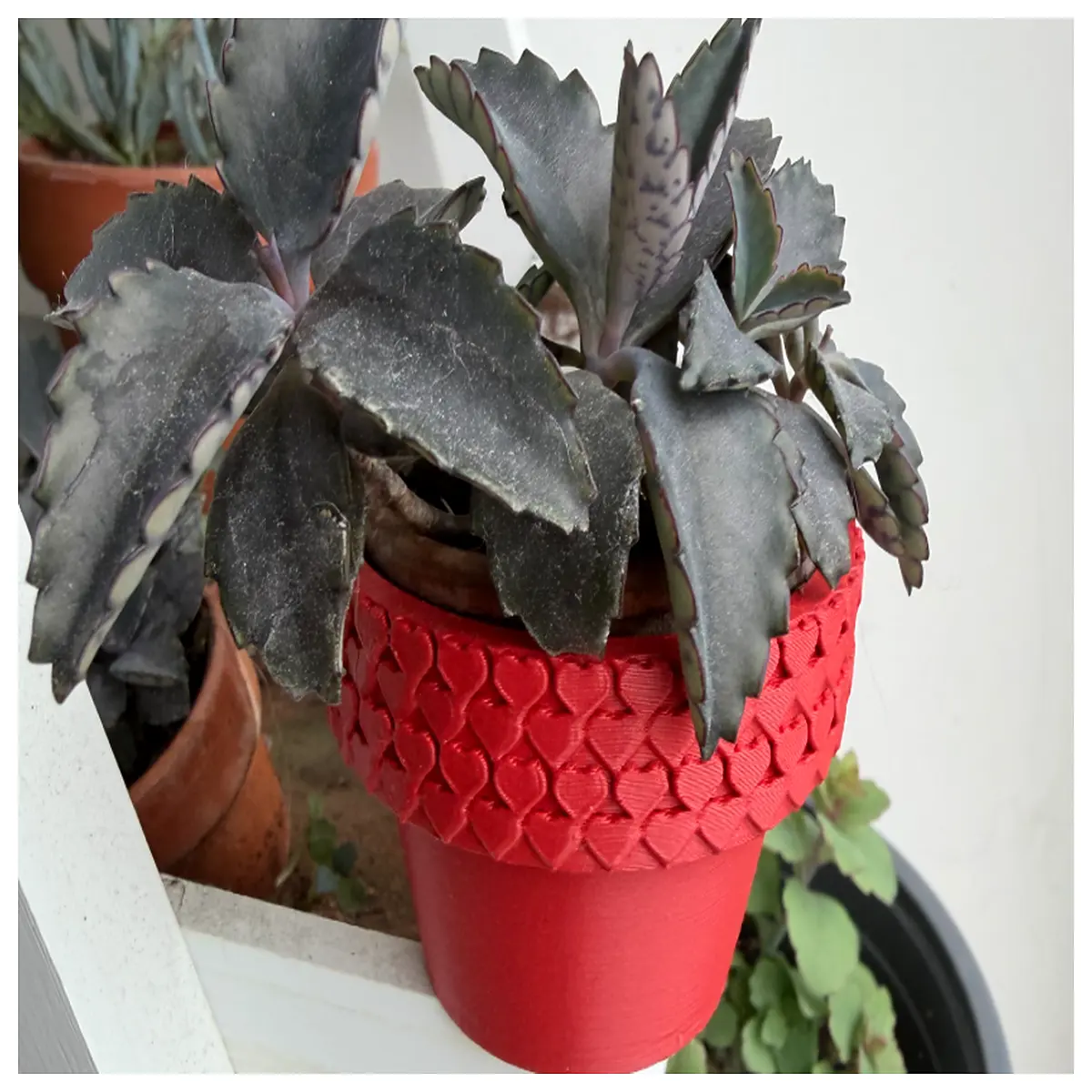 hanging planter for succulents cascading air pot with drainage hole macrame hanger