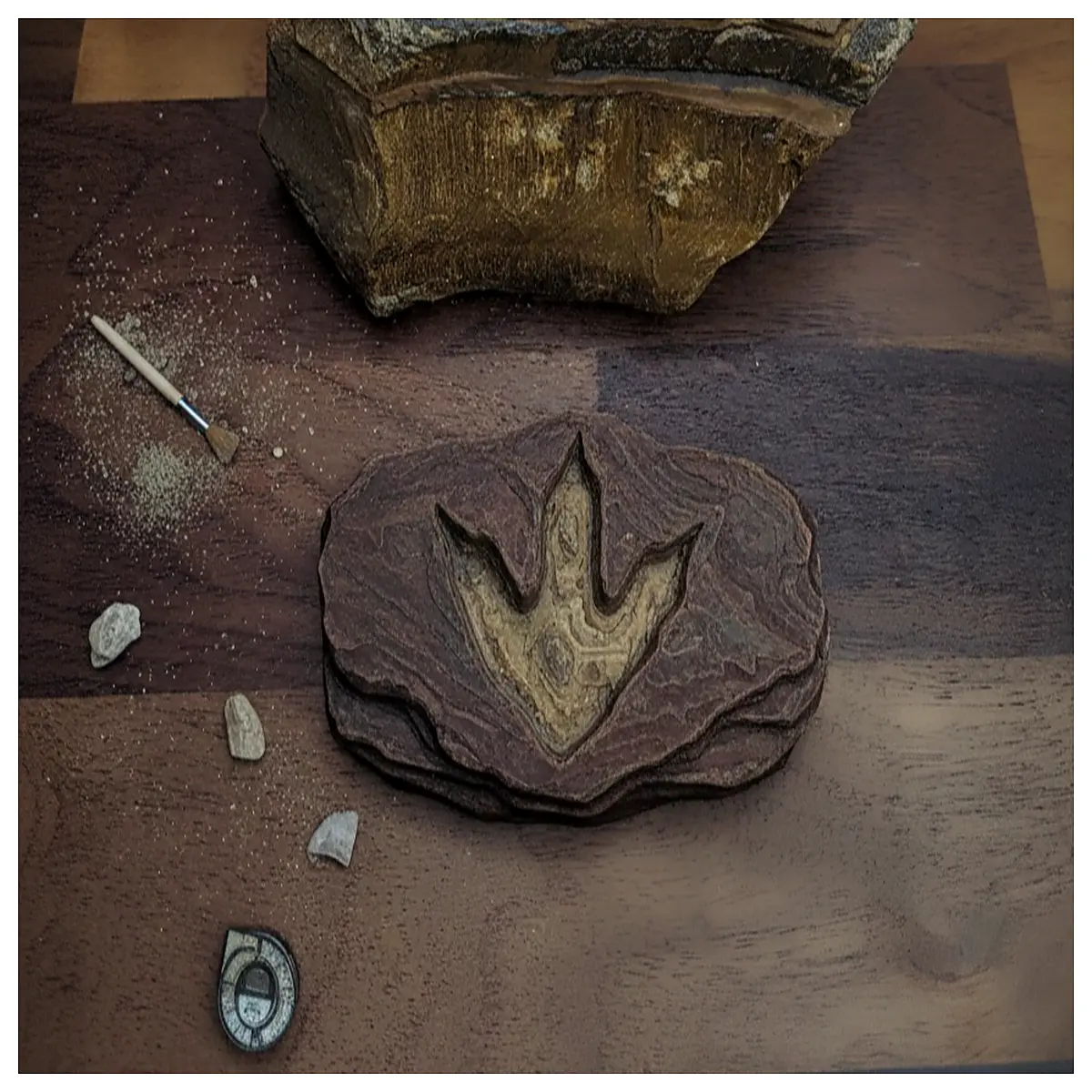 dinosaur footprint home decor kids science learning gift realistic prehistoric track plaster cast