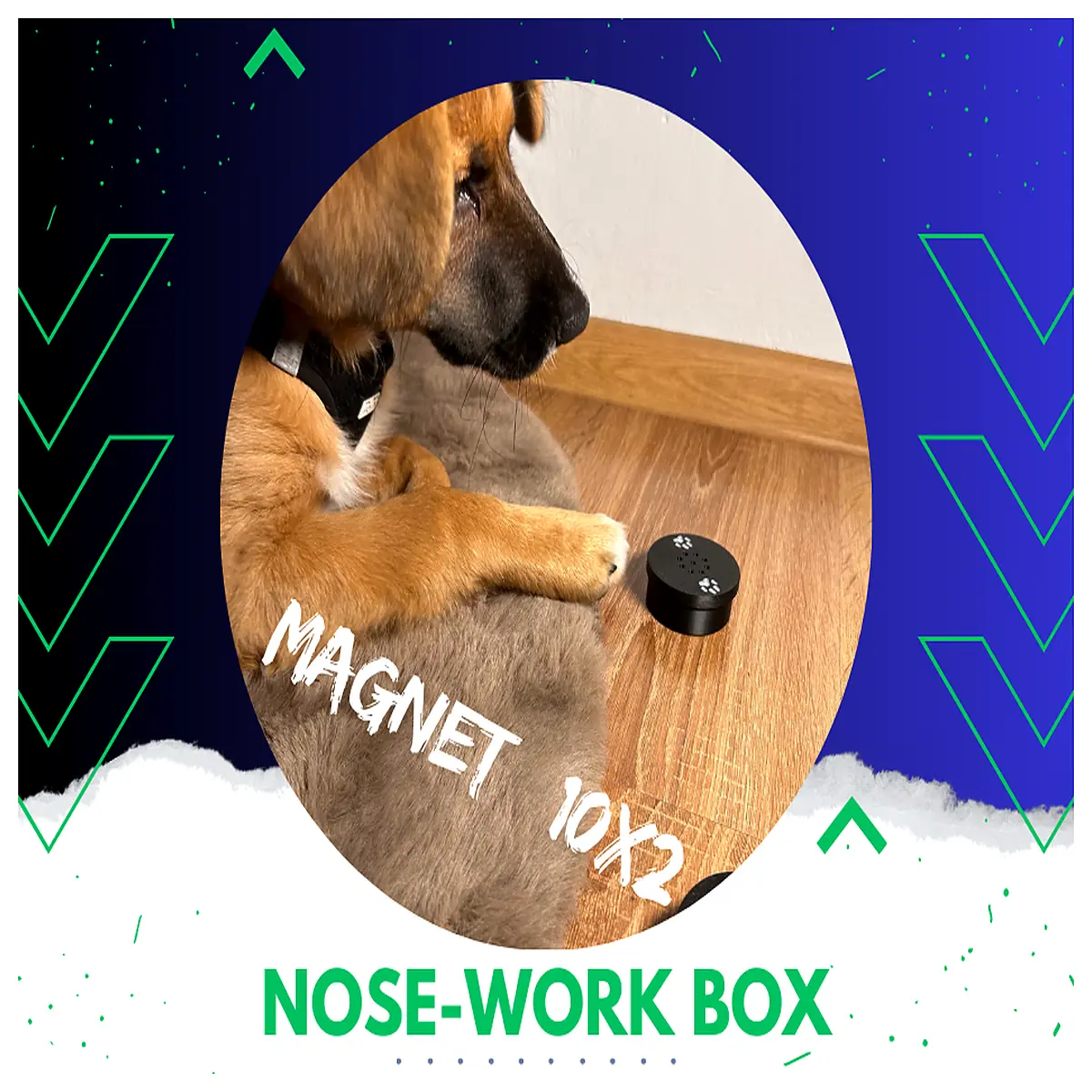 dog odor training container magnetic base scent work box for pets