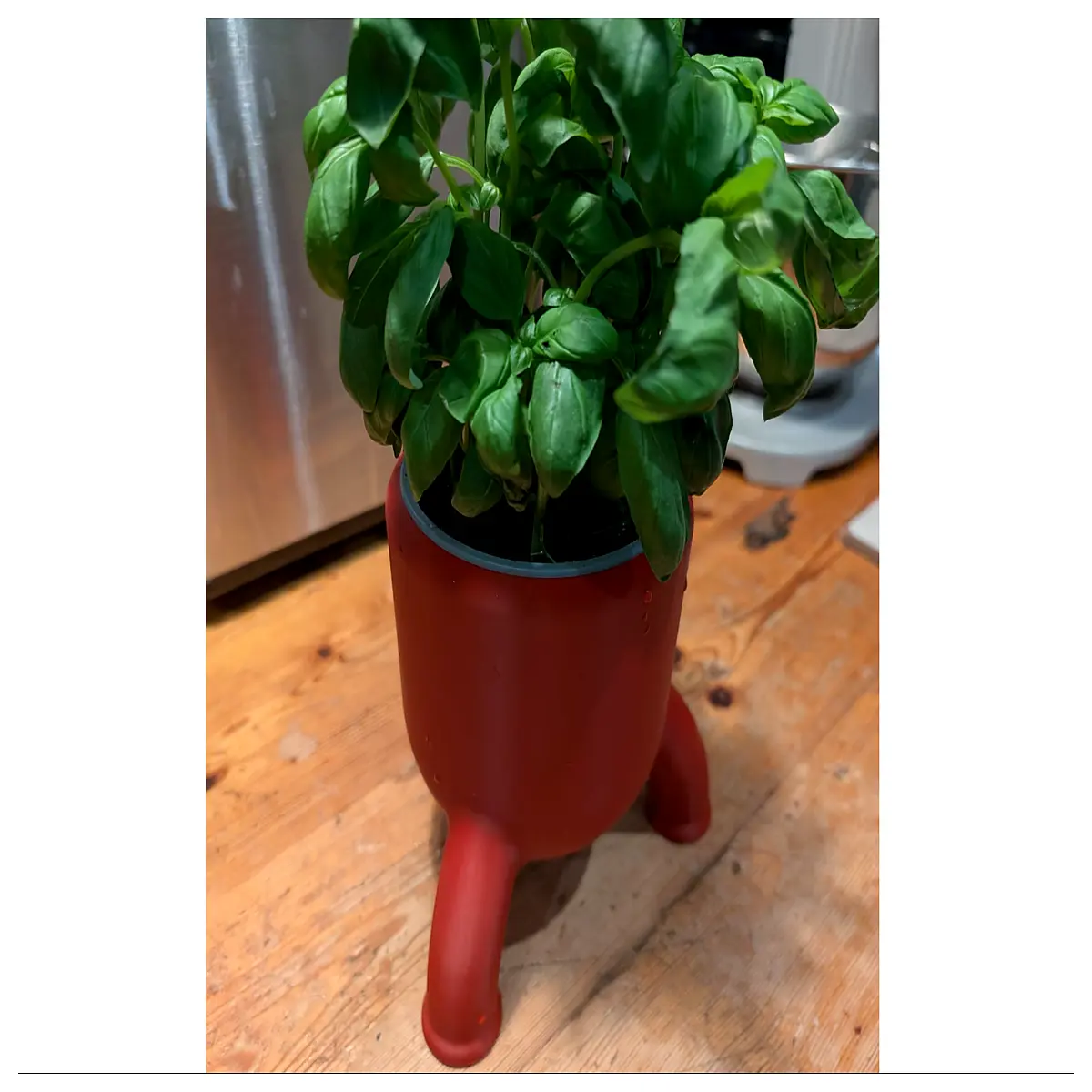 modern geometric terracotta planter pot for indoor succulents cactus outdoor patio garden decor