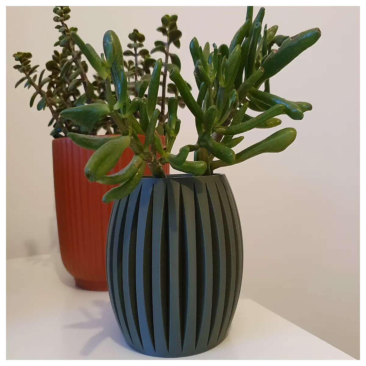 self watering pots with drainage holes indoor plants large plastic nursery containers for succulents