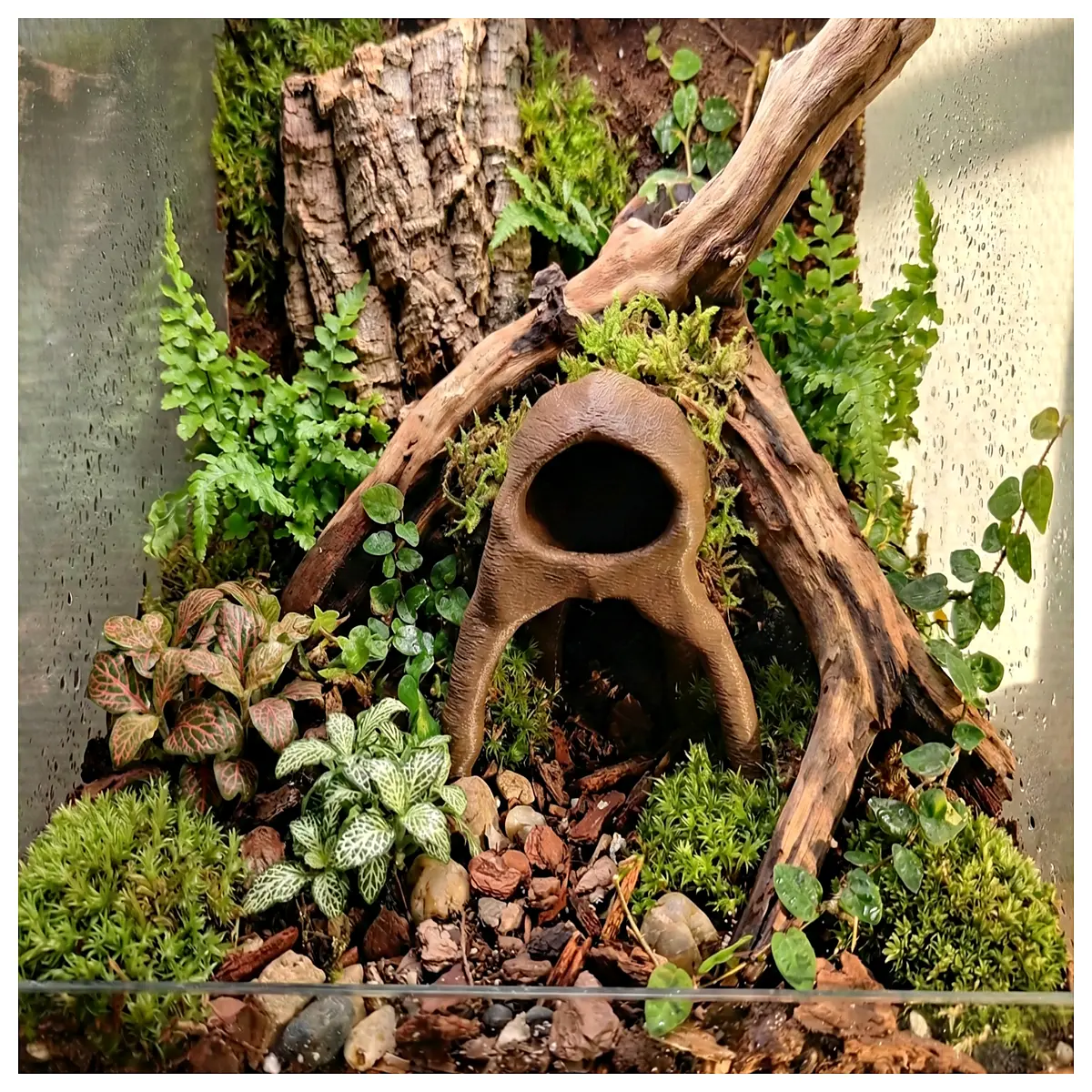 natural driftwood hollow hideout for aquarium fish reptile terrarium hiding cave decoration