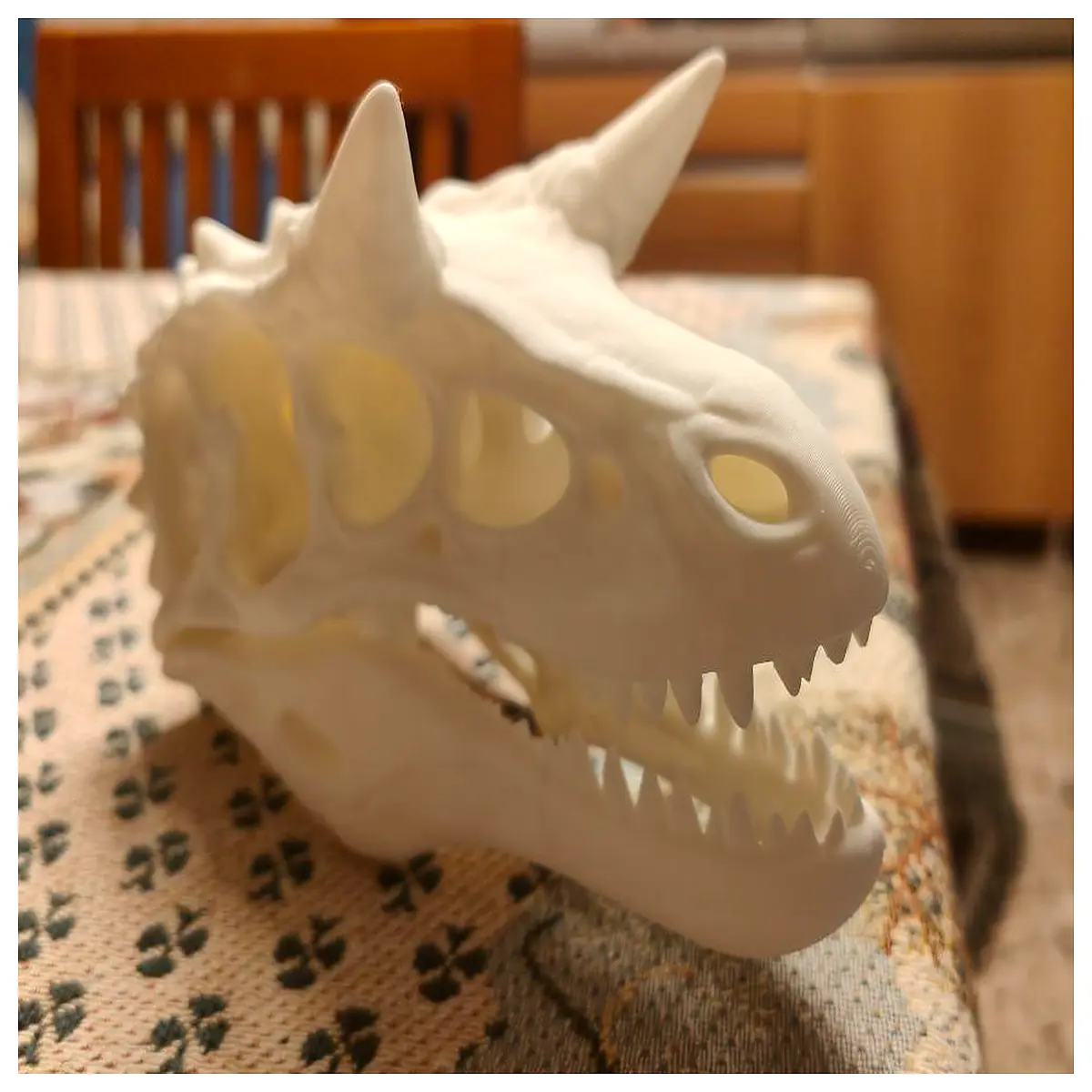 real cow skull for sale taxidermy cattle head mount rustic western wall decor hunting trophy farmhouse kitchen centerpiece