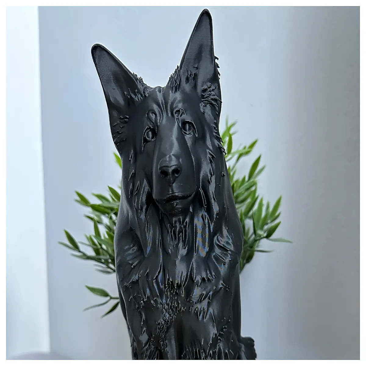 longhaired german shepherd dog puppy for sale fluffy gsd coat care shampoo and brush