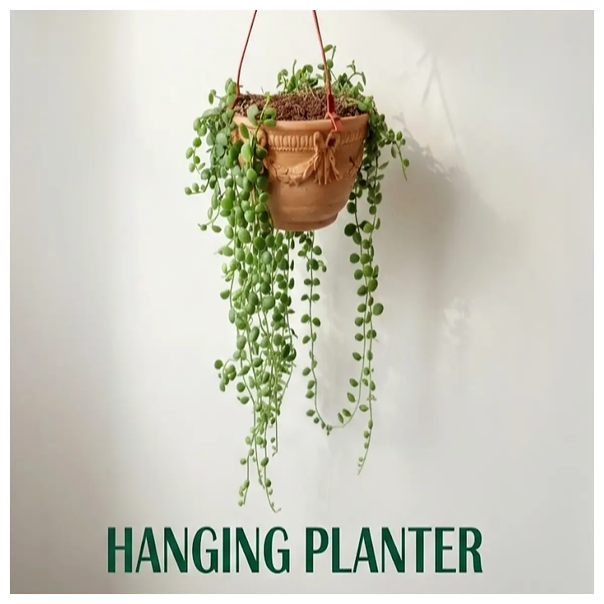 hanging planter pot with embossed texture for indoor outdoor plants