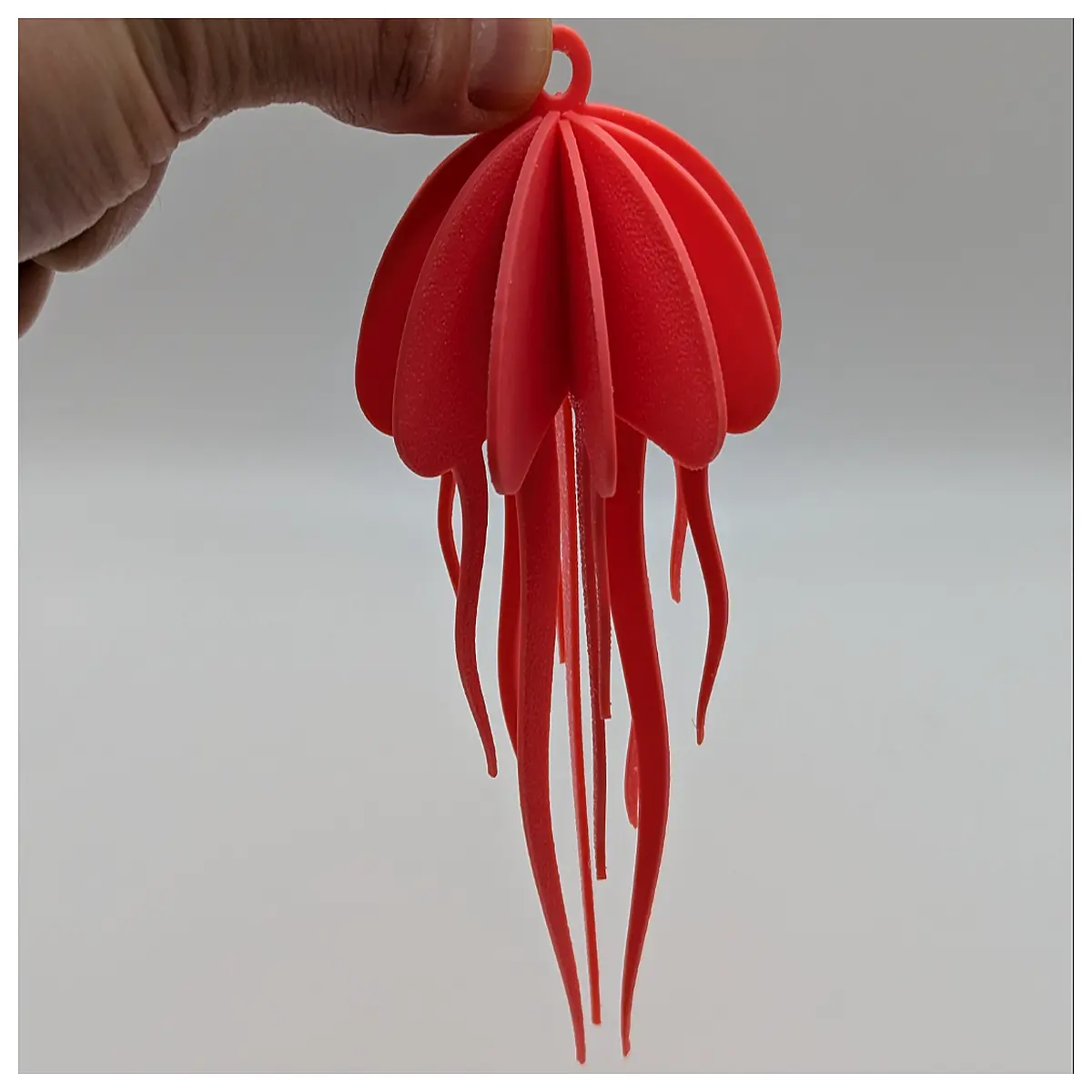 jellyfish puzzle assembly diy educational science toy for kids adults