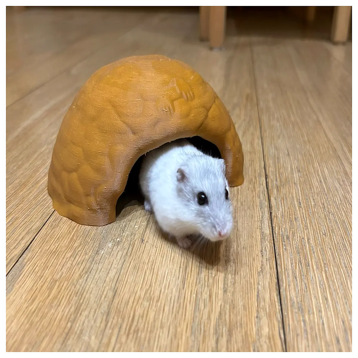 cozy pet nest bed for small dogs cats plush round cave sleeping bag washable orthopedic cushion anti anxiety hideaway