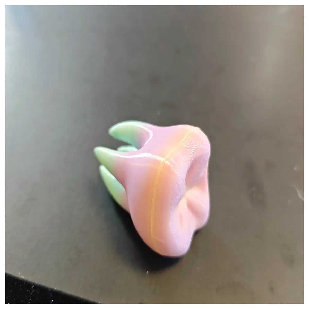miniature realistic teeth prop for photography small scale dental anatomy toy easy to assemble beginner craft educational science toy for kids
