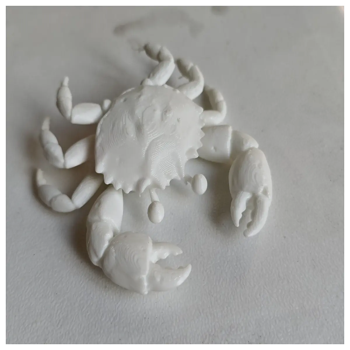 miniature realistic crab figurine for kids detailed sea life desk decoration trendy collectible shellfish toy