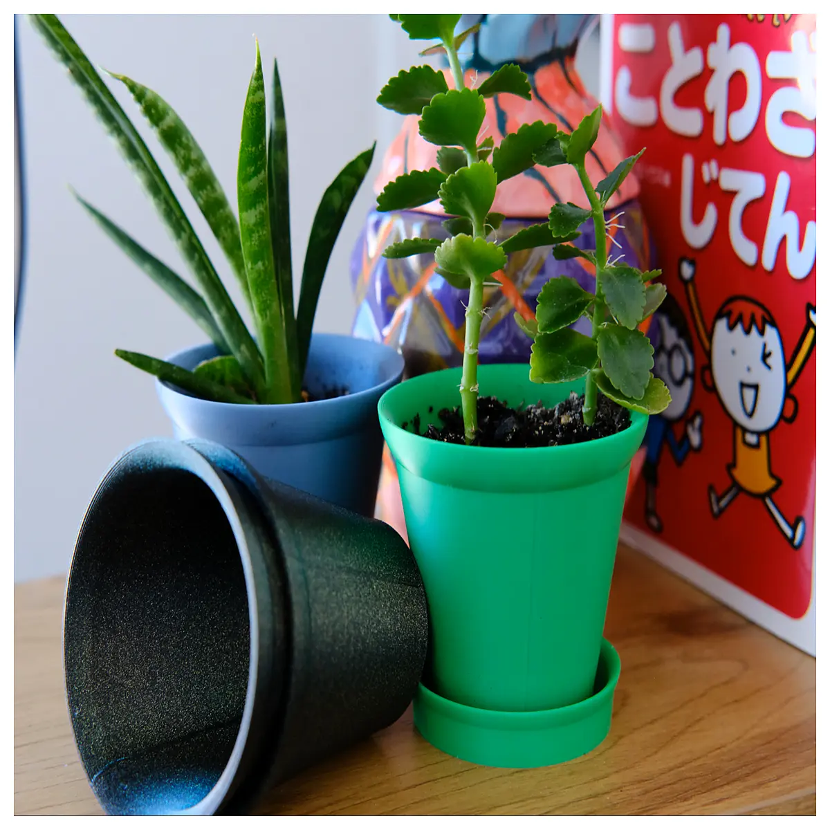 le petit mignon succulent planter 3 inch pot small ceramic vase indoor desk plant container