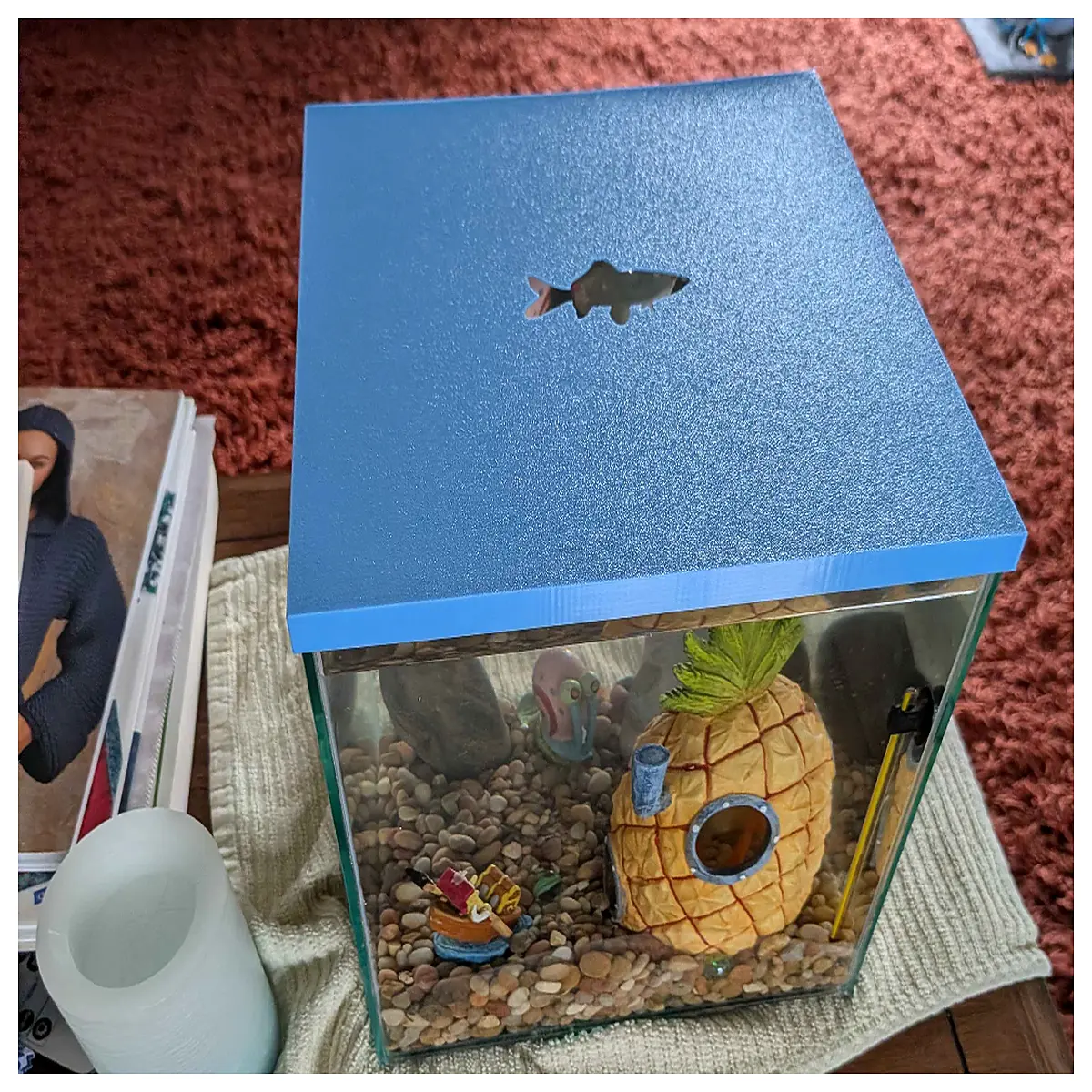 imagitarium 3 gallon aquarium hood with clip on lid for small fish tank