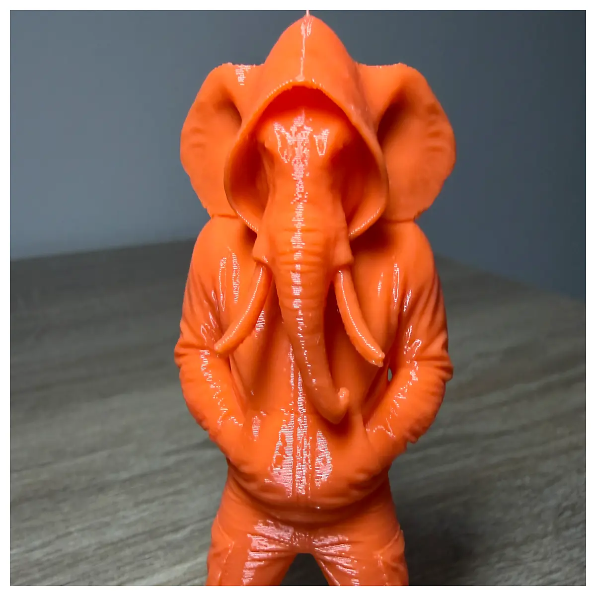 cool elephant hoodie sweatshirt for kids and adults
