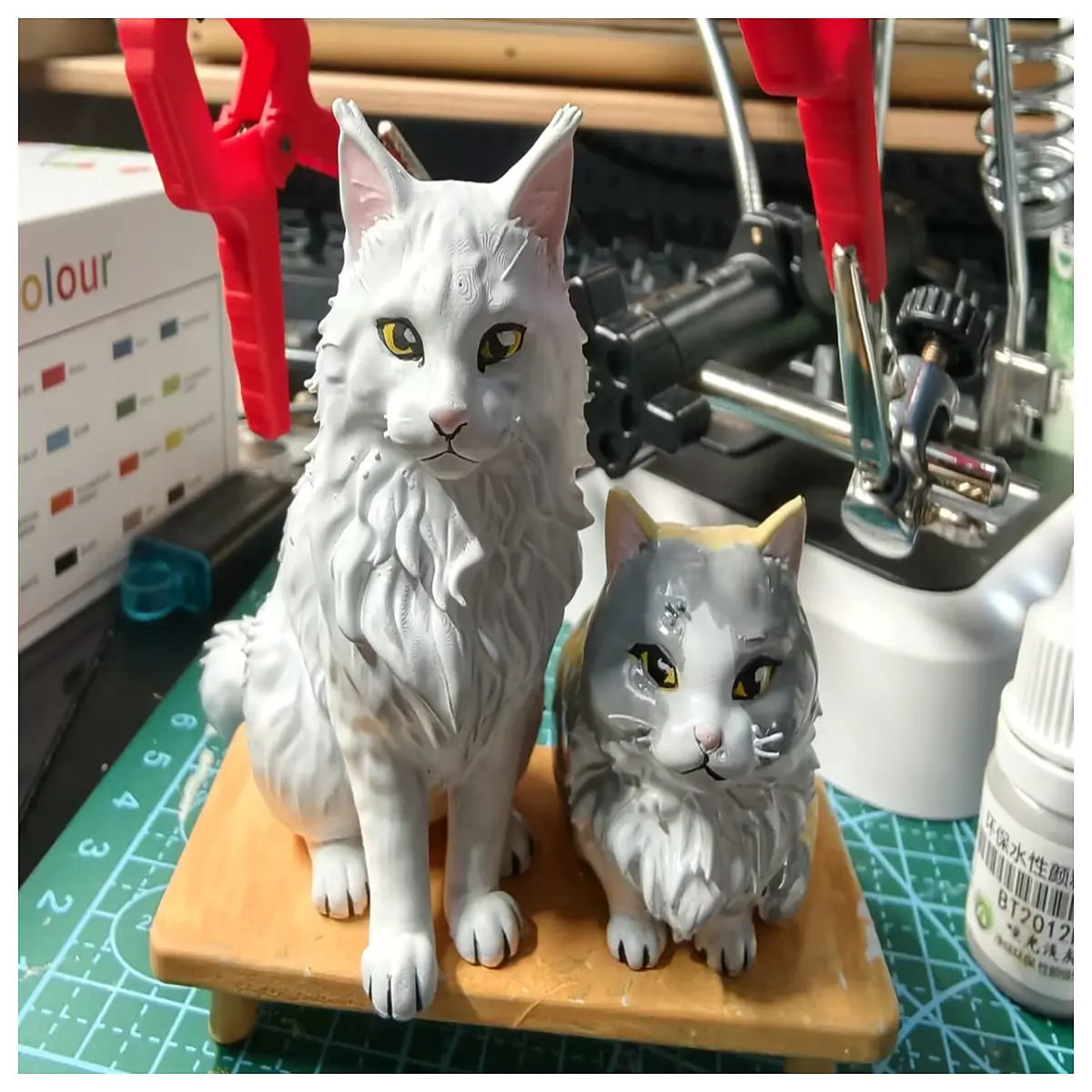 maine coon and calico cats sitting side by side cute group photo